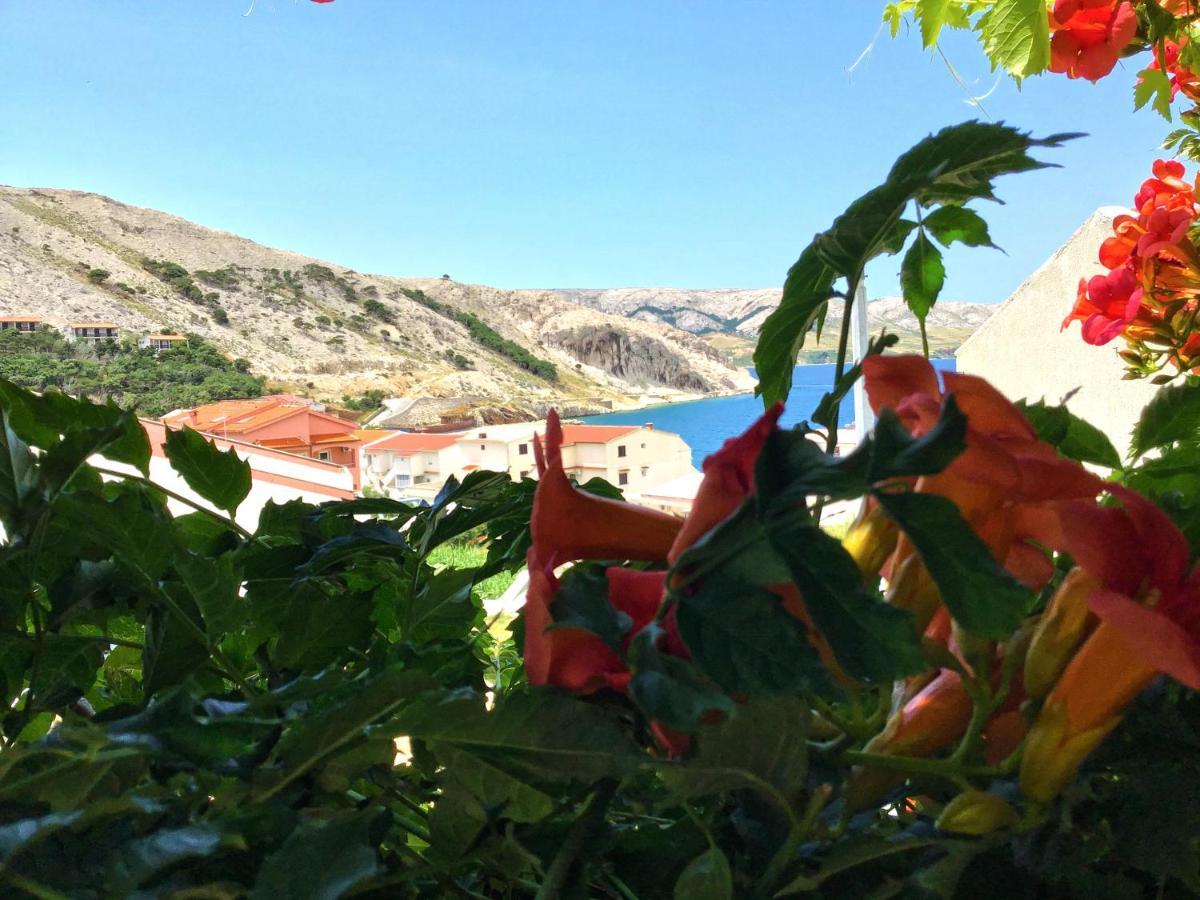 Apartment Coral Метайна Екстер'єр фото